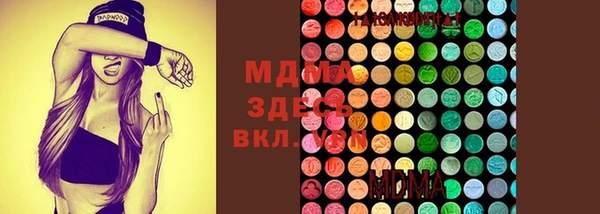 скорость Вяземский
