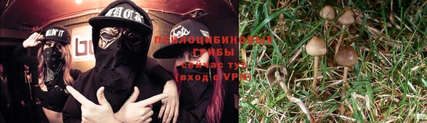 скорость Вяземский