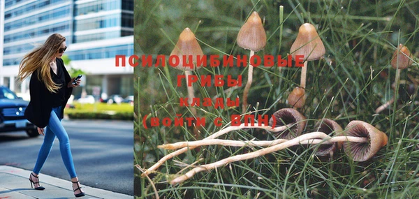 хмурый Гусев