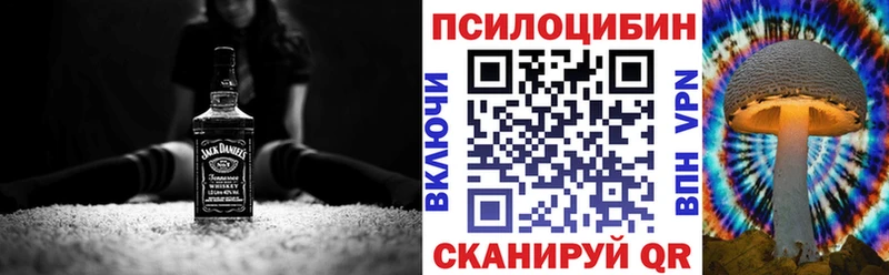 hydra как войти  Жердевка  Псилоцибиновые грибы Psilocybine cubensis  купить наркоту 